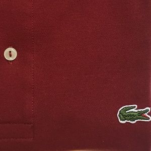 Lacoste Polo S 6 (L). Bordeaux